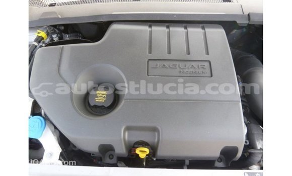 Acheter Import Voiture Jaguar E-Pace Blanc à Import - Dubai, Anse-la-Raye Acheter Import Voiture Jaguar E-Pace Blanc à Import - Dubai, Anse-la-Raye