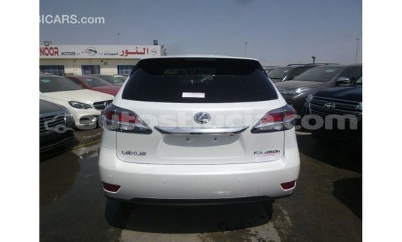 Buy Import Lexus RX White Car in Import - Dubai in Anse-la-Raye Buy Import Lexus RX White Car in Import - Dubai in Anse-la-Raye