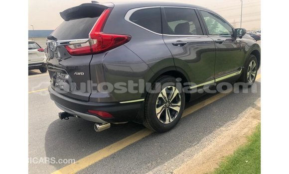 Buy Import Honda C Other Bike in Import - Dubai in Anse-la-Raye Buy Import Honda C Other Bike in Import - Dubai in Anse-la-Raye