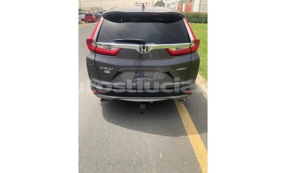 Buy Import Honda C Other Bike in Import - Dubai in Anse-la-Raye Buy Import Honda C Other Bike in Import - Dubai in Anse-la-Raye