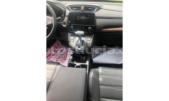 Buy Import Honda C Other Bike in Import - Dubai in Anse-la-Raye Buy Import Honda C Other Bike in Import - Dubai in Anse-la-Raye