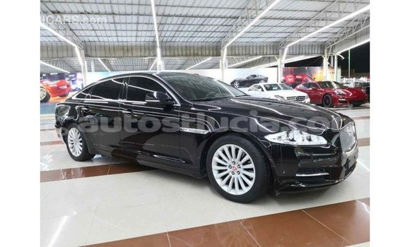 Buy Import Jaguar XJ Black Car in Import - Dubai in Anse-la-Raye Buy Import Jaguar XJ Black Car in Import - Dubai in Anse-la-Raye