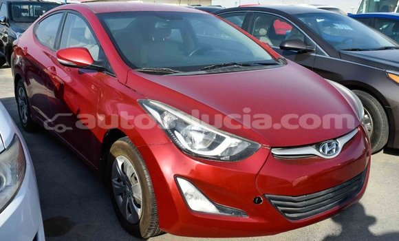 Buy Import Hyundai Elantra Red Car in Import - Dubai in Anse-la-Raye Buy Import Hyundai Elantra Red Car in Import - Dubai in Anse-la-Raye