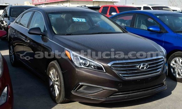 Buy Import Hyundai Sonata Brown Car in Import - Dubai in Anse-la-Raye Buy Import Hyundai Sonata Brown Car in Import - Dubai in Anse-la-Raye