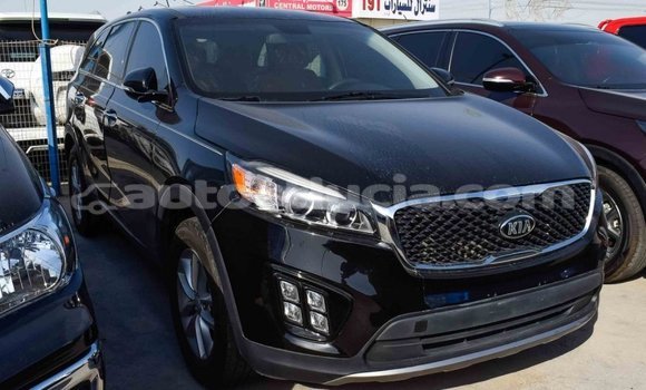Buy Import Kia Sorento Black Car in Import - Dubai in Anse-la-Raye Buy Import Kia Sorento Black Car in Import - Dubai in Anse-la-Raye