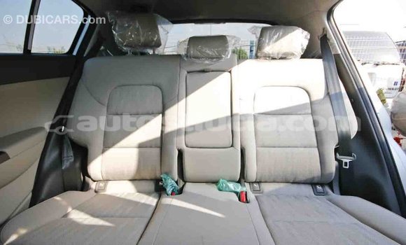 Buy Import Kia Sportage Other Car in Import - Dubai in Anse-la-Raye Buy Import Kia Sportage Other Car in Import - Dubai in Anse-la-Raye