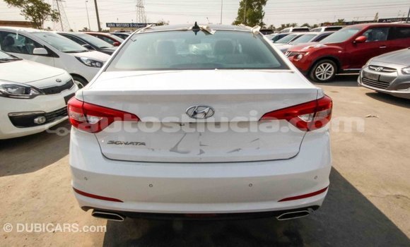 Acheter Import Voiture Hyundai Sonata Blanc à Import - Dubai, Anse-la-Raye Acheter Import Voiture Hyundai Sonata Blanc à Import - Dubai, Anse-la-Raye