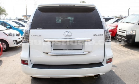 Acheter Import Voiture Lexus GX Blanc à Import - Dubai, Anse-la-Raye Acheter Import Voiture Lexus GX Blanc à Import - Dubai, Anse-la-Raye