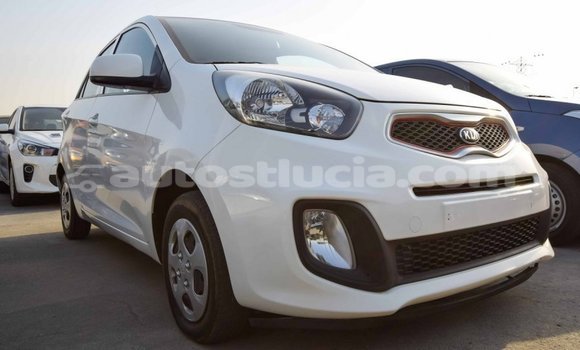 Buy Import Kia Picanto White Car in Import - Dubai in Anse-la-Raye Buy Import Kia Picanto White Car in Import - Dubai in Anse-la-Raye