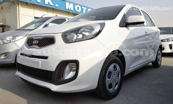 Buy Import Kia Picanto White Car in Import - Dubai in Anse-la-Raye Buy Import Kia Picanto White Car in Import - Dubai in Anse-la-Raye