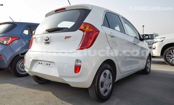 Buy Import Kia Picanto White Car in Import - Dubai in Anse-la-Raye Buy Import Kia Picanto White Car in Import - Dubai in Anse-la-Raye