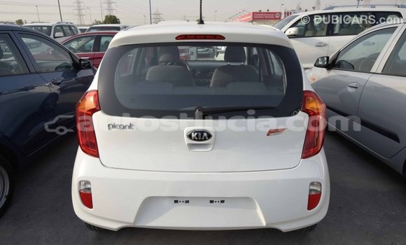 Buy Import Kia Picanto White Car in Import - Dubai in Anse-la-Raye Buy Import Kia Picanto White Car in Import - Dubai in Anse-la-Raye