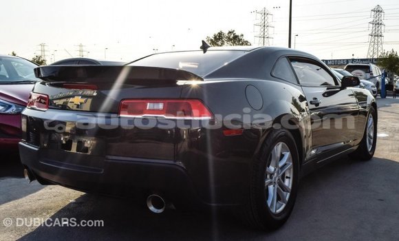 Buy Import Chevrolet Camaro Other Car in Import - Dubai in Anse-la-Raye Buy Import Chevrolet Camaro Other Car in Import - Dubai in Anse-la-Raye