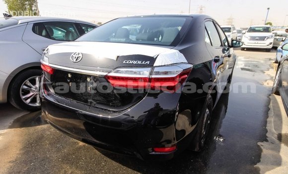Buy Import Toyota Corolla Black Car in Import - Dubai in Anse-la-Raye Buy Import Toyota Corolla Black Car in Import - Dubai in Anse-la-Raye