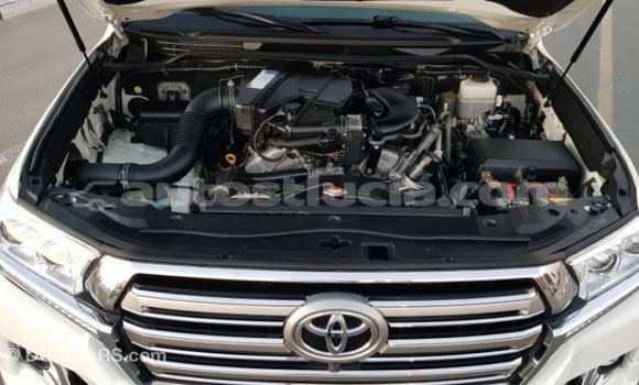 Buy Import Toyota Land Cruiser White Car in Import - Dubai in Anse-la-Raye Buy Import Toyota Land Cruiser White Car in Import - Dubai in Anse-la-Raye