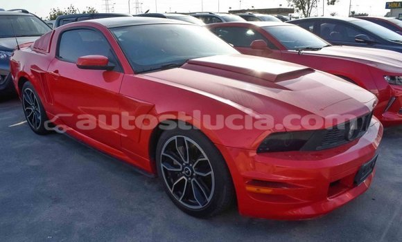 Buy Import Ford Mustang Red Car in Import - Dubai in Anse-la-Raye Buy Import Ford Mustang Red Car in Import - Dubai in Anse-la-Raye
