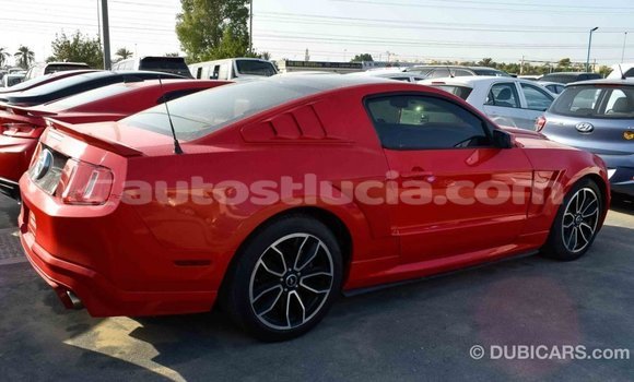 Buy Import Ford Mustang Red Car in Import - Dubai in Anse-la-Raye Buy Import Ford Mustang Red Car in Import - Dubai in Anse-la-Raye