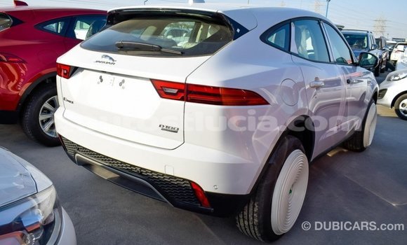 Buy Import Jaguar E-Pace White Car in Import - Dubai in Anse-la-Raye Buy Import Jaguar E-Pace White Car in Import - Dubai in Anse-la-Raye
