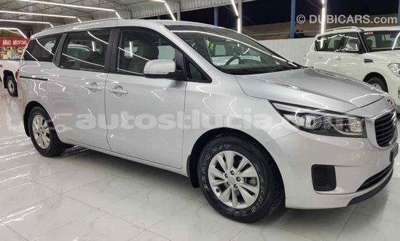 Buy Import Kia Carnival Other Car in Import - Dubai in Anse-la-Raye Buy Import Kia Carnival Other Car in Import - Dubai in Anse-la-Raye