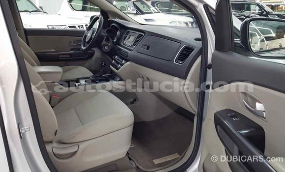 Buy Import Kia Carnival Other Car in Import - Dubai in Anse-la-Raye Buy Import Kia Carnival Other Car in Import - Dubai in Anse-la-Raye