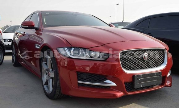 Buy Import Jaguar XE Red Car in Import - Dubai in Anse-la-Raye