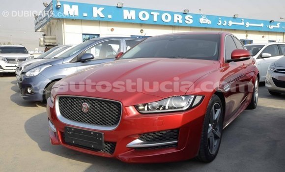 Buy Import Jaguar XE Red Car in Import - Dubai in Anse-la-Raye Buy Import Jaguar XE Red Car in Import - Dubai in Anse-la-Raye