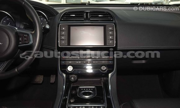 Buy Import Jaguar XE Red Car in Import - Dubai in Anse-la-Raye Buy Import Jaguar XE Red Car in Import - Dubai in Anse-la-Raye