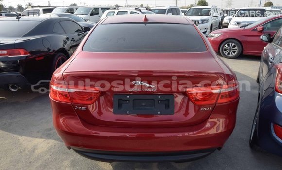 Buy Import Jaguar XE Red Car in Import - Dubai in Anse-la-Raye Buy Import Jaguar XE Red Car in Import - Dubai in Anse-la-Raye