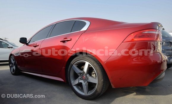 Buy Import Jaguar XE Red Car in Import - Dubai in Anse-la-Raye Buy Import Jaguar XE Red Car in Import - Dubai in Anse-la-Raye
