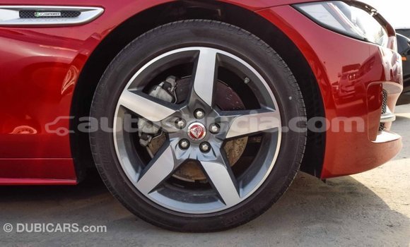 Buy Import Jaguar XE Red Car in Import - Dubai in Anse-la-Raye Buy Import Jaguar XE Red Car in Import - Dubai in Anse-la-Raye
