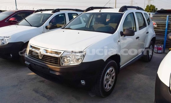Buy Import Renault Duster White Car in Import - Dubai in Anse-la-Raye Buy Import Renault Duster White Car in Import - Dubai in Anse-la-Raye