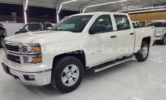Buy Import Chevrolet Silverado White Car in Import - Dubai in Anse-la-Raye Buy Import Chevrolet Silverado White Car in Import - Dubai in Anse-la-Raye