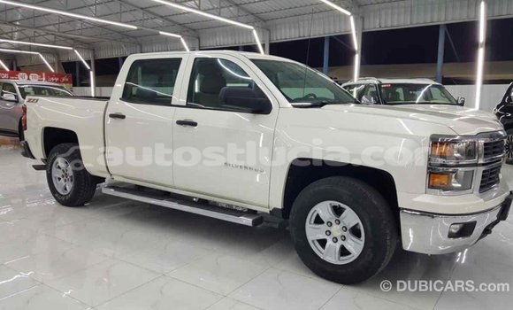 Buy Import Chevrolet Silverado White Car in Import - Dubai in Anse-la-Raye Buy Import Chevrolet Silverado White Car in Import - Dubai in Anse-la-Raye