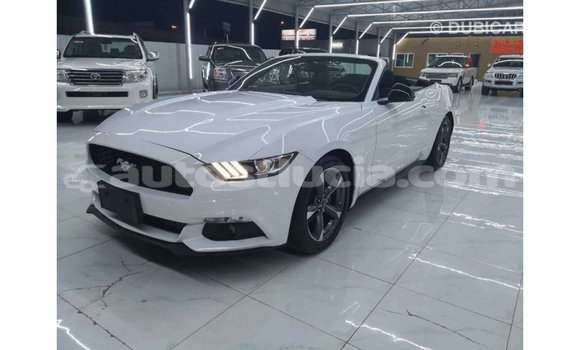 Buy Import Ford Mustang White Car in Import - Dubai in Anse-la-Raye Buy Import Ford Mustang White Car in Import - Dubai in Anse-la-Raye