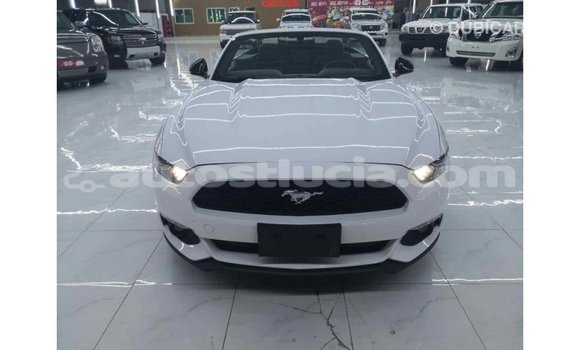 Buy Import Ford Mustang White Car in Import - Dubai in Anse-la-Raye Buy Import Ford Mustang White Car in Import - Dubai in Anse-la-Raye