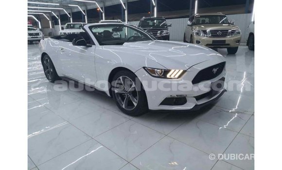 Buy Import Ford Mustang White Car in Import - Dubai in Anse-la-Raye Buy Import Ford Mustang White Car in Import - Dubai in Anse-la-Raye