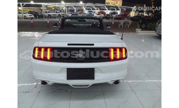 Buy Import Ford Mustang White Car in Import - Dubai in Anse-la-Raye Buy Import Ford Mustang White Car in Import - Dubai in Anse-la-Raye