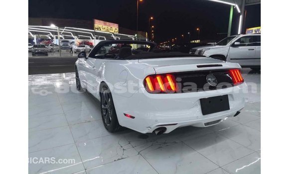Buy Import Ford Mustang White Car in Import - Dubai in Anse-la-Raye Buy Import Ford Mustang White Car in Import - Dubai in Anse-la-Raye