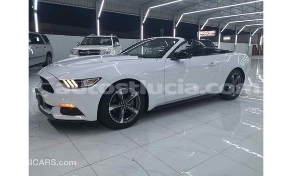 Buy Import Ford Mustang White Car in Import - Dubai in Anse-la-Raye Buy Import Ford Mustang White Car in Import - Dubai in Anse-la-Raye