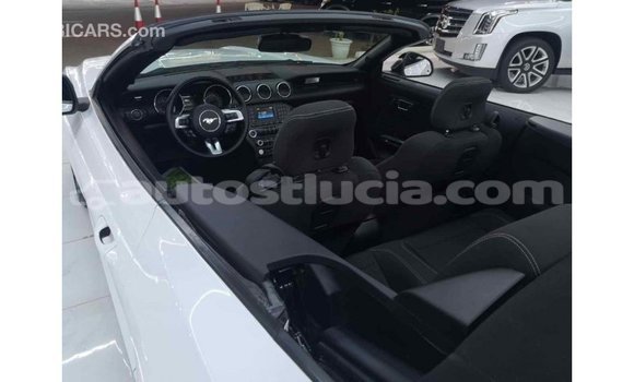 Buy Import Ford Mustang White Car in Import - Dubai in Anse-la-Raye Buy Import Ford Mustang White Car in Import - Dubai in Anse-la-Raye