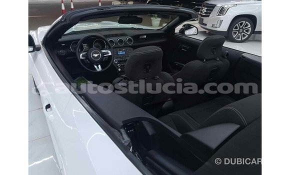 Buy Import Ford Mustang White Car in Import - Dubai in Anse-la-Raye Buy Import Ford Mustang White Car in Import - Dubai in Anse-la-Raye