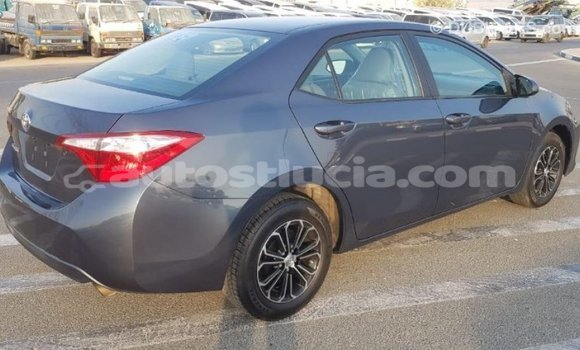 Buy Import Toyota Corolla Other Car in Import - Dubai in Anse-la-Raye Buy Import Toyota Corolla Other Car in Import - Dubai in Anse-la-Raye