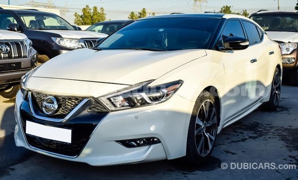 Buy Import Nissan Maxima White Car in Import - Dubai in Anse-la-Raye Buy Import Nissan Maxima White Car in Import - Dubai in Anse-la-Raye