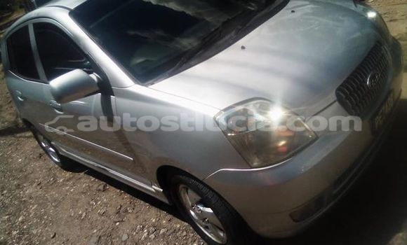 Buy Used Kia Picanto White Car in Castries in Castries