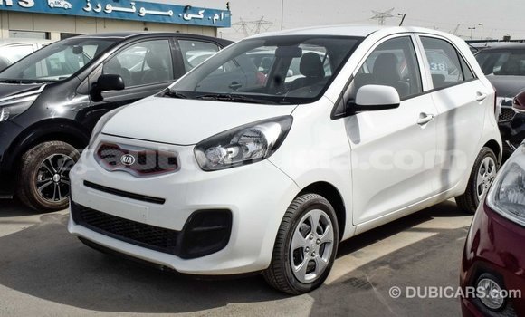 Buy Import Kia Picanto White Car in Import - Dubai in Anse-la-Raye Buy Import Kia Picanto White Car in Import - Dubai in Anse-la-Raye