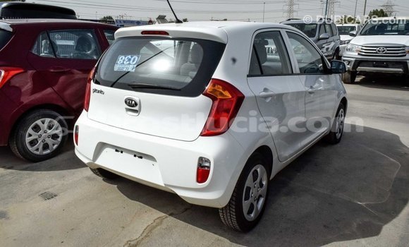 Buy Import Kia Picanto White Car in Import - Dubai in Anse-la-Raye Buy Import Kia Picanto White Car in Import - Dubai in Anse-la-Raye