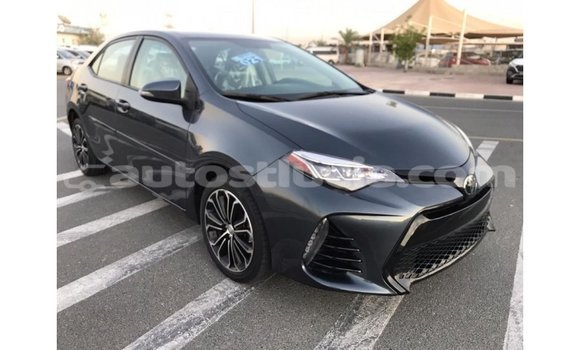 Buy Import Toyota Corolla Other Car in Import - Dubai in Anse-la-Raye Buy Import Toyota Corolla Other Car in Import - Dubai in Anse-la-Raye