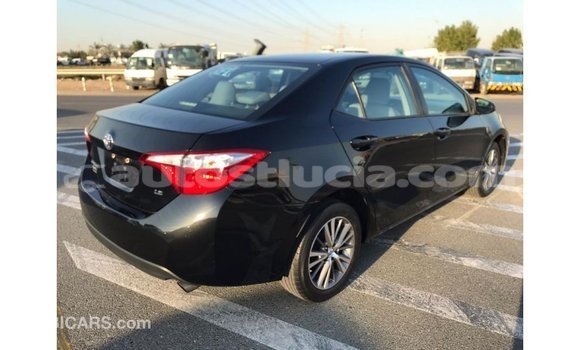 Buy Import Toyota Corolla Black Car in Import - Dubai in Anse-la-Raye Buy Import Toyota Corolla Black Car in Import - Dubai in Anse-la-Raye