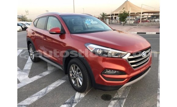 Acheter Import Voiture Hyundai Tucson Rouge à Import - Dubai, Anse-la-Raye Acheter Import Voiture Hyundai Tucson Rouge à Import - Dubai, Anse-la-Raye