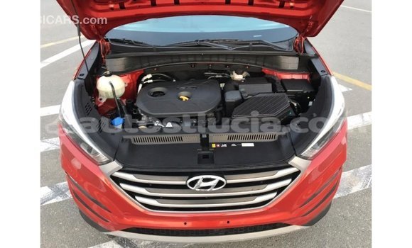 Acheter Import Voiture Hyundai Tucson Rouge à Import - Dubai, Anse-la-Raye Acheter Import Voiture Hyundai Tucson Rouge à Import - Dubai, Anse-la-Raye